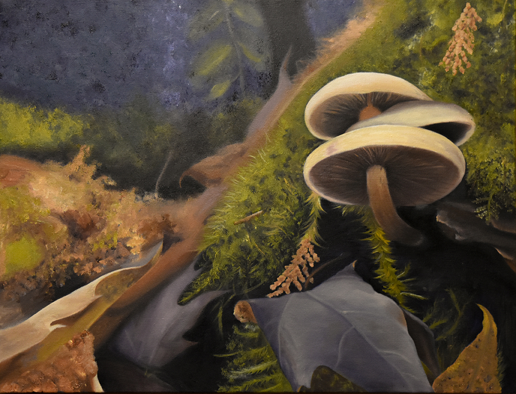New Bradley Gallery show spotlights senior art major